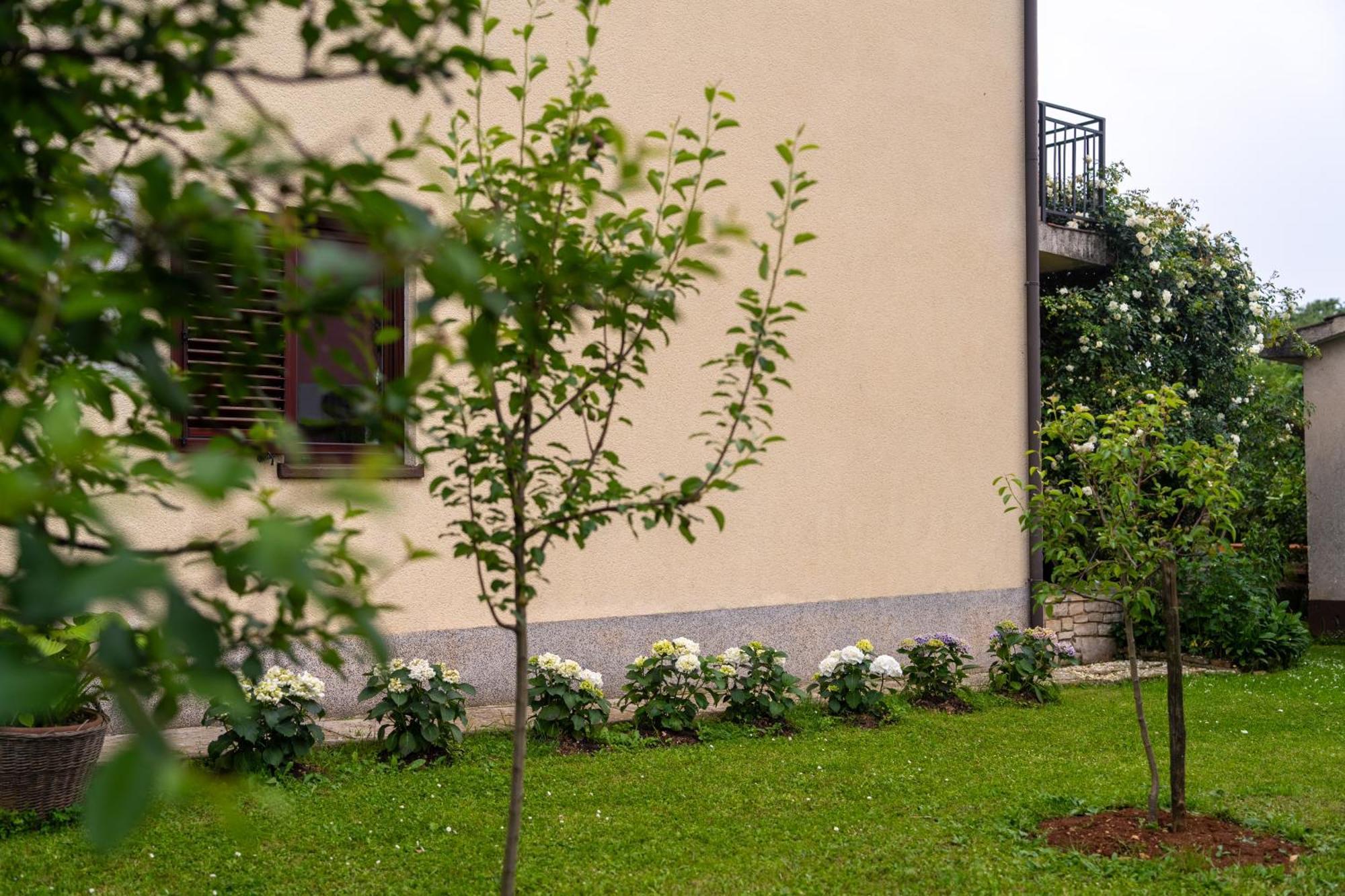 Blue Apartment Врсар Экстерьер фото